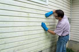 Professional Siding in Hernando Beach, FL